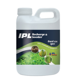 IPL RECHARGE & BOOSTER